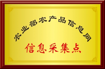 信息采集点