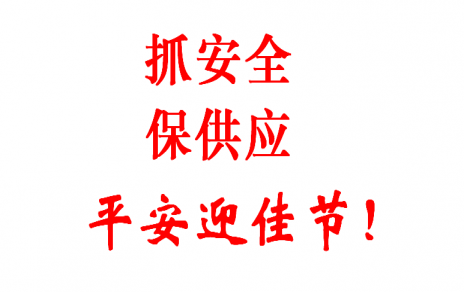 查隐患 促安全 保供给 贺新春！！！